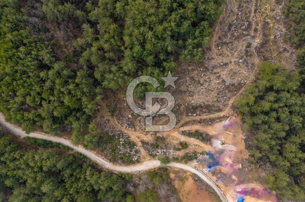 Yatırım ve Hobi Bahçesi İçin Uygun – Yenice Satılık Tarla