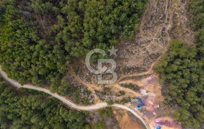 Yatırım ve Hobi Bahçesi İçin Uygun – Yenice Satılık Tarla