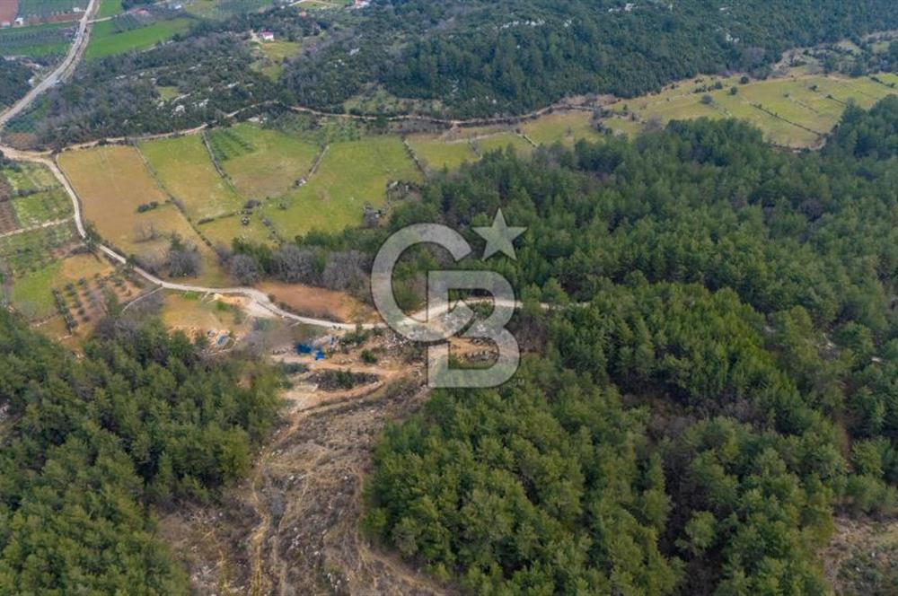 Yatırım ve Hobi Bahçesi İçin Uygun – Yenice Satılık Tarla