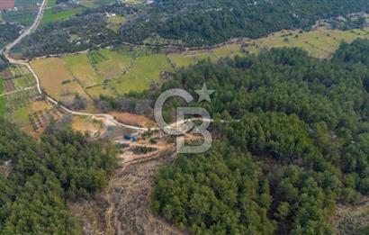 Yatırım ve Hobi Bahçesi İçin Uygun – Yenice Satılık Tarla