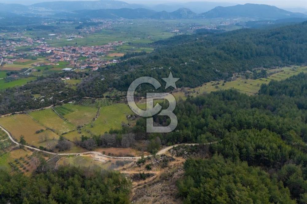 Yatırım ve Hobi Bahçesi İçin Uygun – Yenice Satılık Tarla