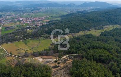 Yatırım ve Hobi Bahçesi İçin Uygun – Yenice Satılık Tarla