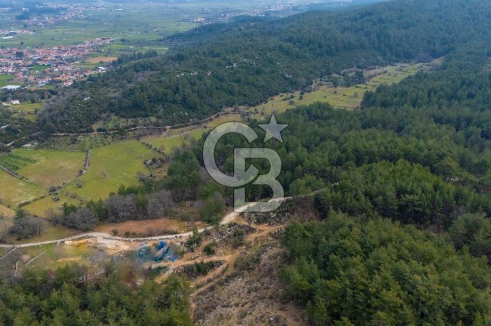 Yatırım ve Hobi Bahçesi İçin Uygun – Yenice Satılık Tarla