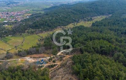 Yatırım ve Hobi Bahçesi İçin Uygun – Yenice Satılık Tarla