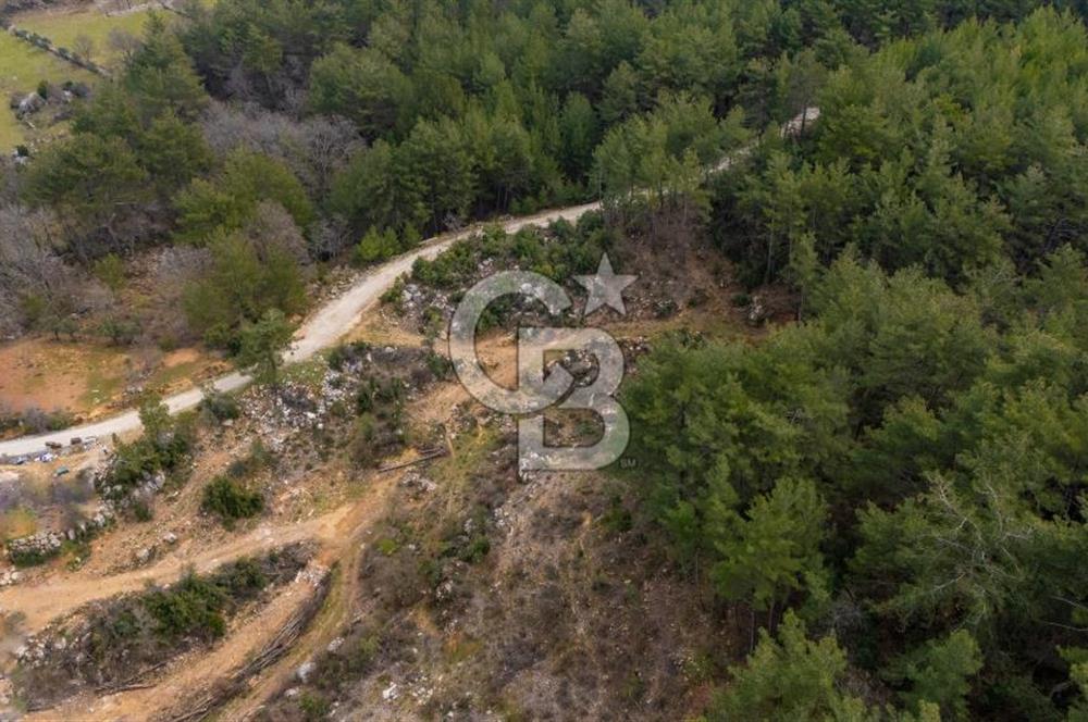 Yatırım ve Hobi Bahçesi İçin Uygun – Yenice Satılık Tarla