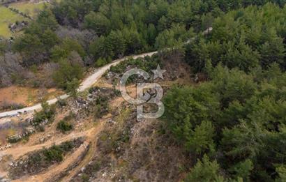 Yatırım ve Hobi Bahçesi İçin Uygun – Yenice Satılık Tarla