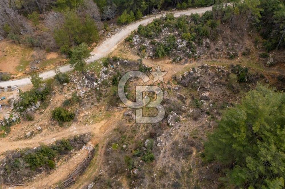 Yatırım ve Hobi Bahçesi İçin Uygun – Yenice Satılık Tarla