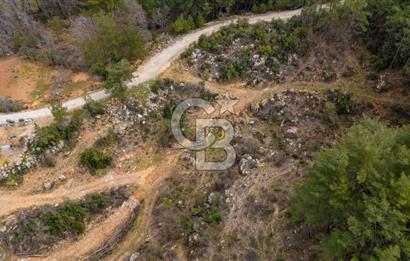 Yatırım ve Hobi Bahçesi İçin Uygun – Yenice Satılık Tarla