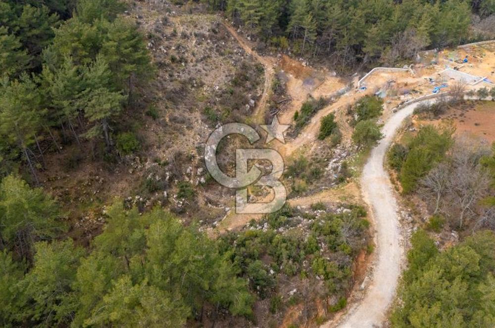 Yatırım ve Hobi Bahçesi İçin Uygun – Yenice Satılık Tarla