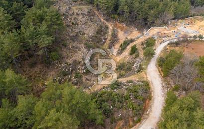 Yatırım ve Hobi Bahçesi İçin Uygun – Yenice Satılık Tarla