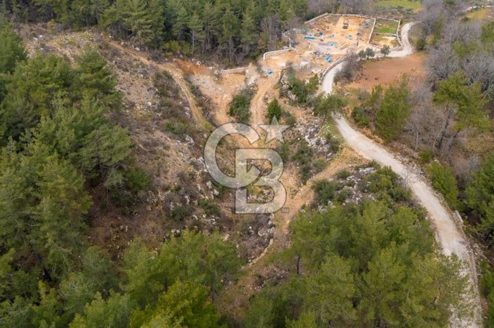 Yatırım ve Hobi Bahçesi İçin Uygun – Yenice Satılık Tarla