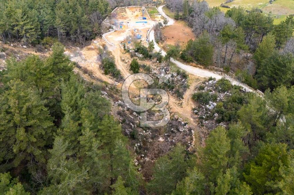 Yatırım ve Hobi Bahçesi İçin Uygun – Yenice Satılık Tarla