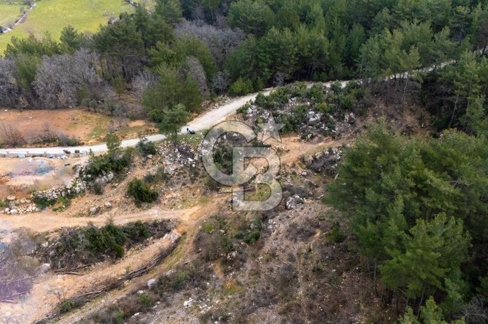 Yatırım ve Hobi Bahçesi İçin Uygun – Yenice Satılık Tarla