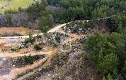 Yatırım ve Hobi Bahçesi İçin Uygun – Yenice Satılık Tarla