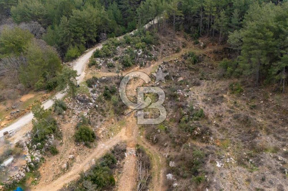 Yatırım ve Hobi Bahçesi İçin Uygun – Yenice Satılık Tarla