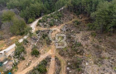 Yatırım ve Hobi Bahçesi İçin Uygun – Yenice Satılık Tarla