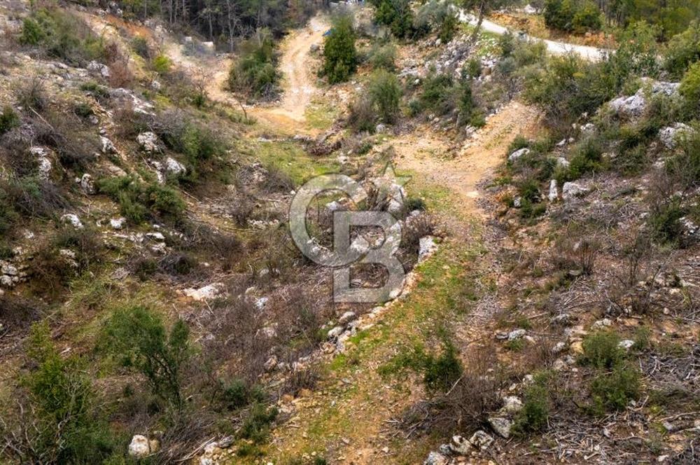 Yatırım ve Hobi Bahçesi İçin Uygun – Yenice Satılık Tarla