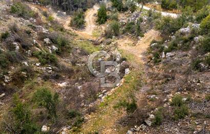 Yatırım ve Hobi Bahçesi İçin Uygun – Yenice Satılık Tarla