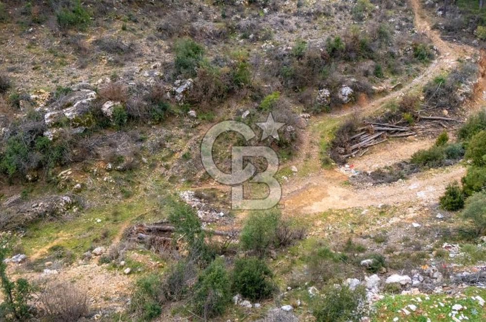 Yatırım ve Hobi Bahçesi İçin Uygun – Yenice Satılık Tarla
