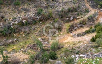 Yatırım ve Hobi Bahçesi İçin Uygun – Yenice Satılık Tarla