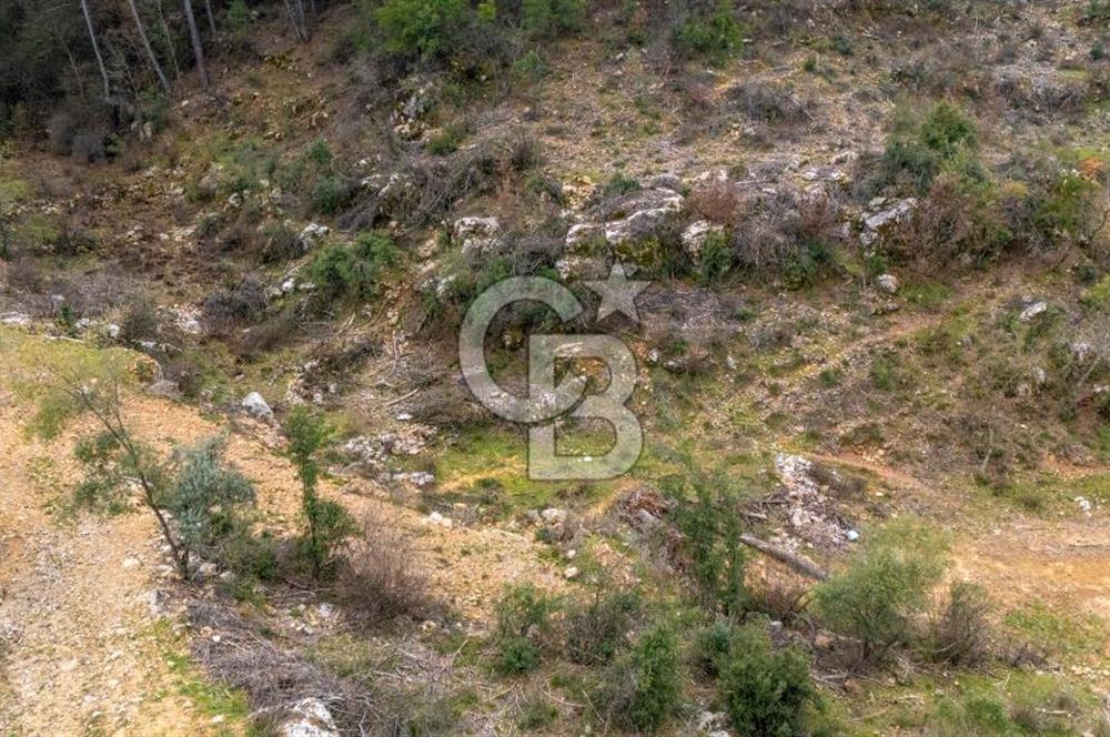 Yatırım ve Hobi Bahçesi İçin Uygun – Yenice Satılık Tarla