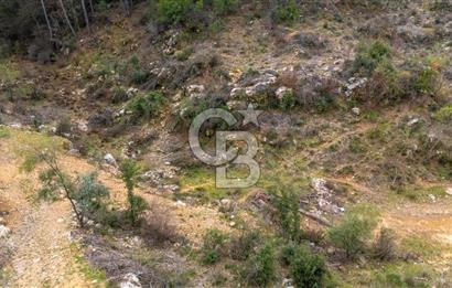 Yatırım ve Hobi Bahçesi İçin Uygun – Yenice Satılık Tarla