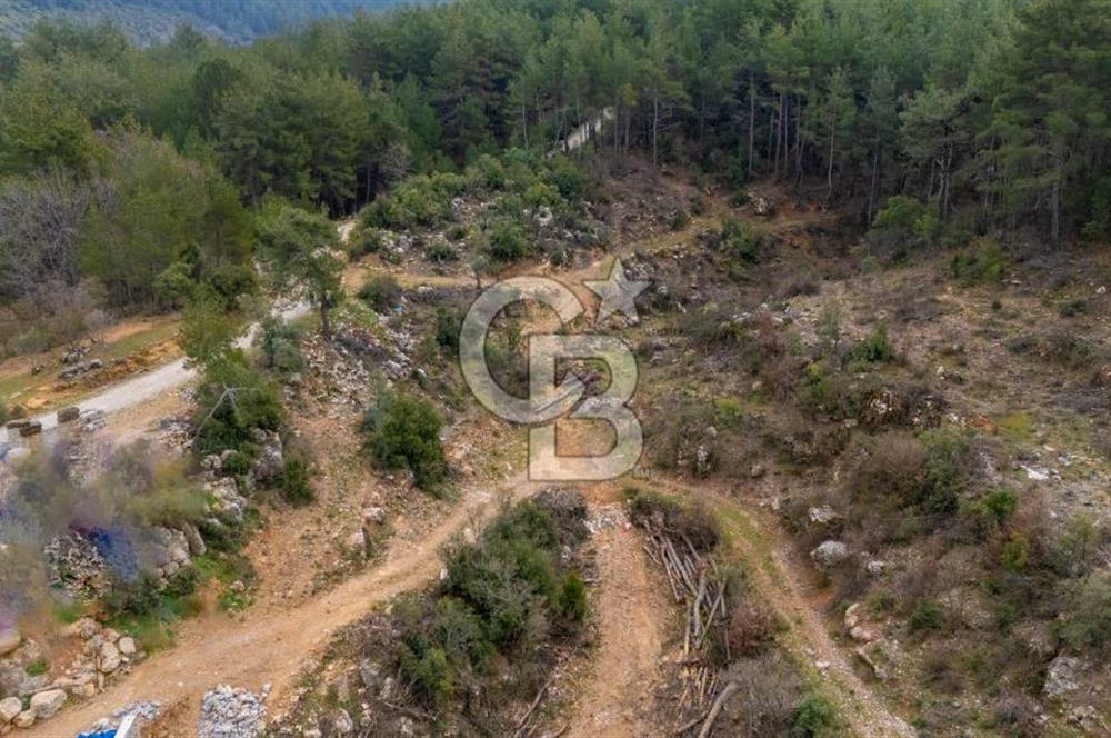 Yatırım ve Hobi Bahçesi İçin Uygun – Yenice Satılık Tarla