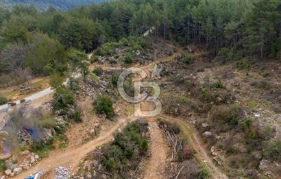 Yatırım ve Hobi Bahçesi İçin Uygun – Yenice Satılık Tarla