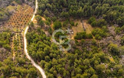 Yenice’de Kadastral Yolu Olan Satılık Tarla