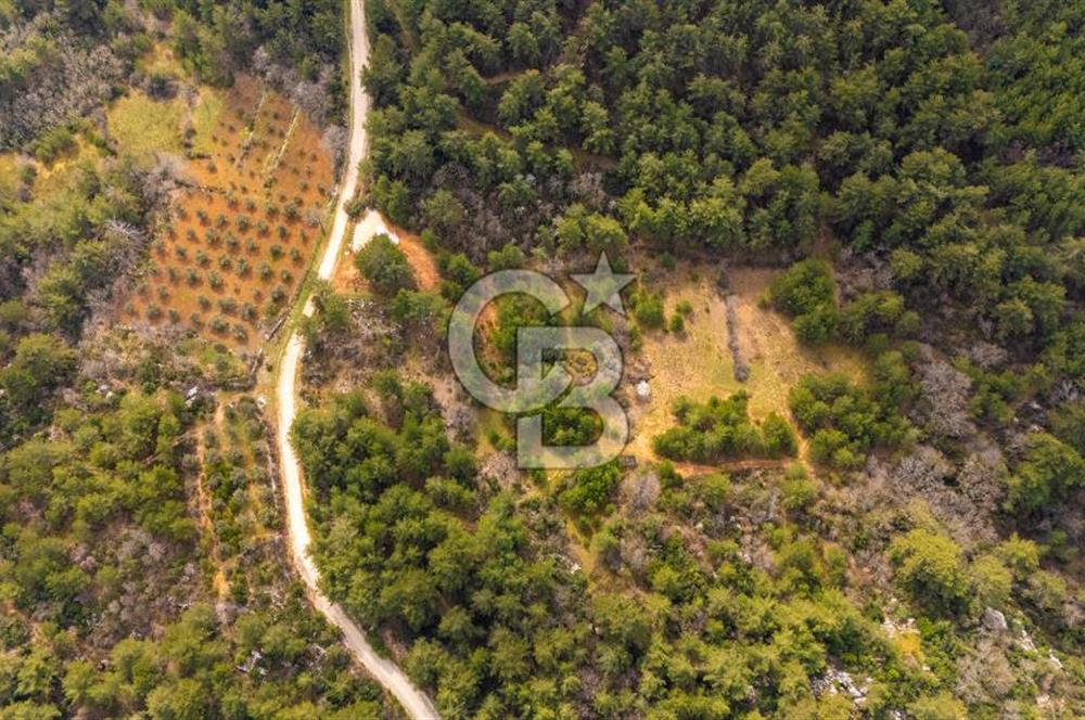 Yenice’de Kadastral Yolu Olan Satılık Tarla