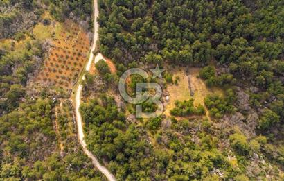 Yenice’de Kadastral Yolu Olan Satılık Tarla