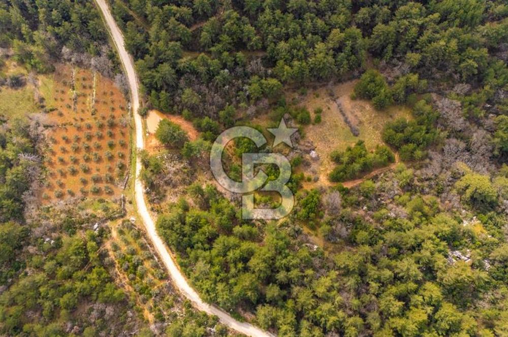 Yenice’de Kadastral Yolu Olan Satılık Tarla