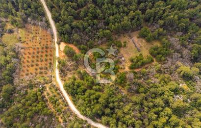 Yenice’de Kadastral Yolu Olan Satılık Tarla