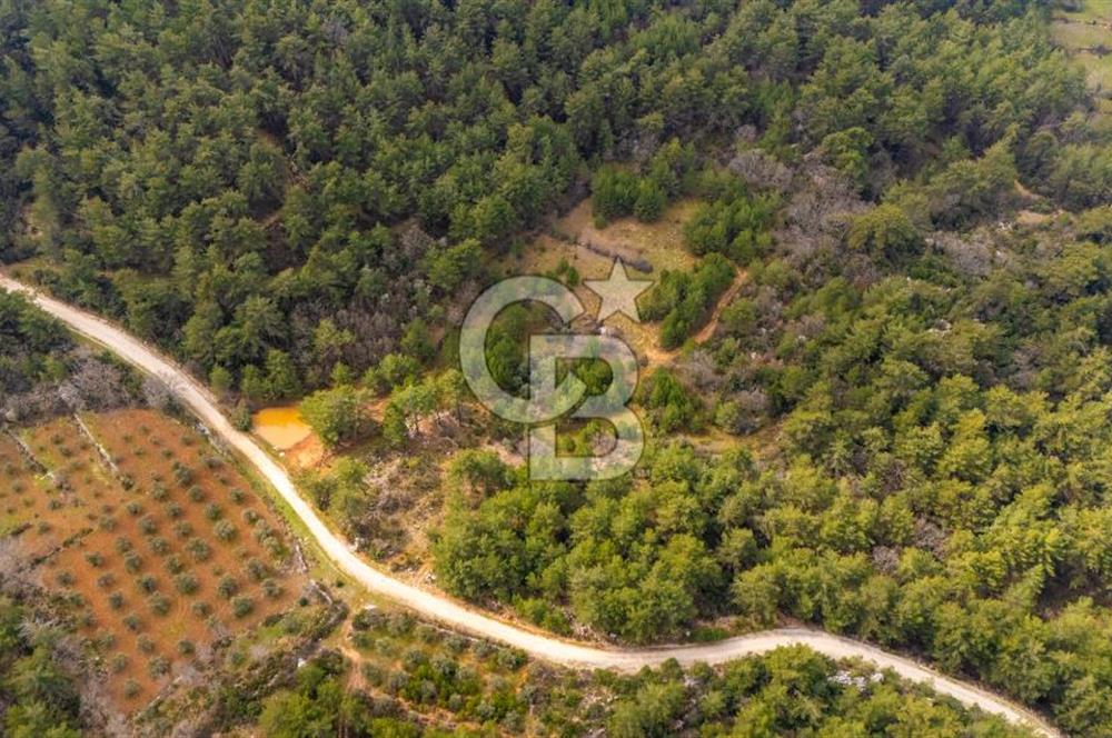 Yenice’de Kadastral Yolu Olan Satılık Tarla