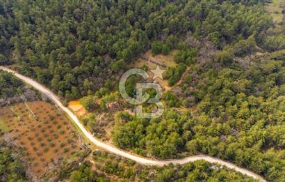 Yenice’de Kadastral Yolu Olan Satılık Tarla