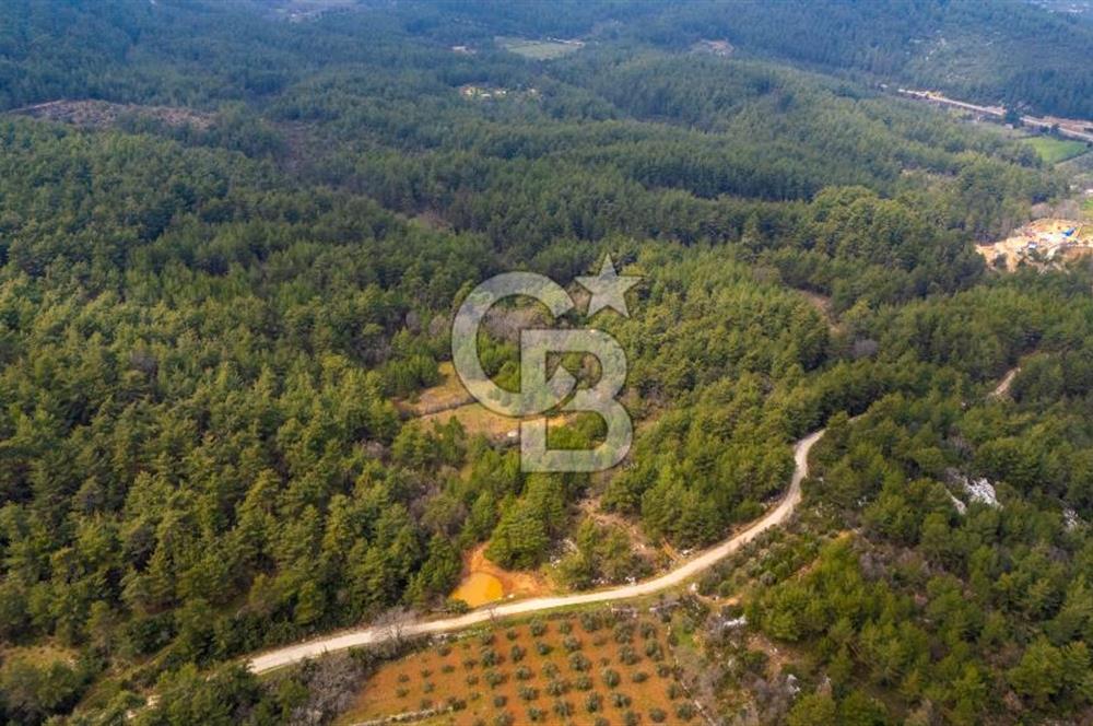 Yenice’de Kadastral Yolu Olan Satılık Tarla