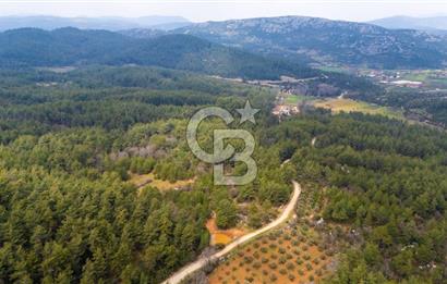 Yenice’de Kadastral Yolu Olan Satılık Tarla