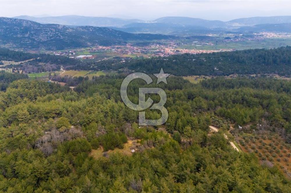 Yenice’de Kadastral Yolu Olan Satılık Tarla