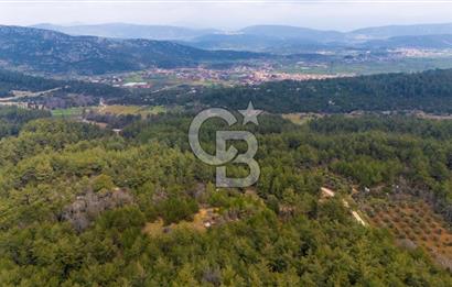 Yenice’de Kadastral Yolu Olan Satılık Tarla