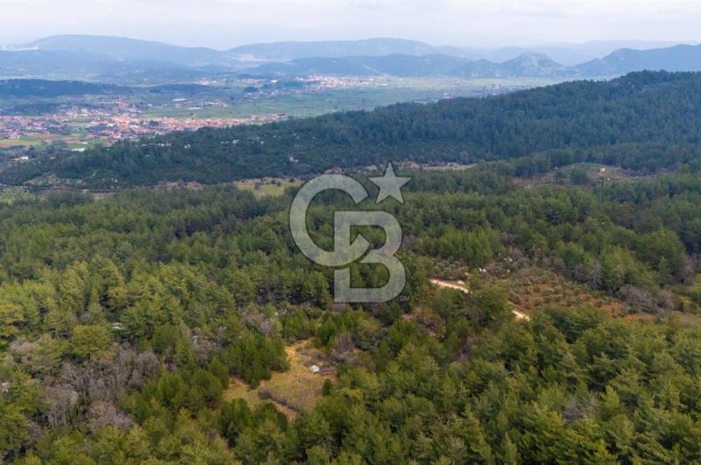 Yenice’de Kadastral Yolu Olan Satılık Tarla