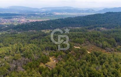 Yenice’de Kadastral Yolu Olan Satılık Tarla