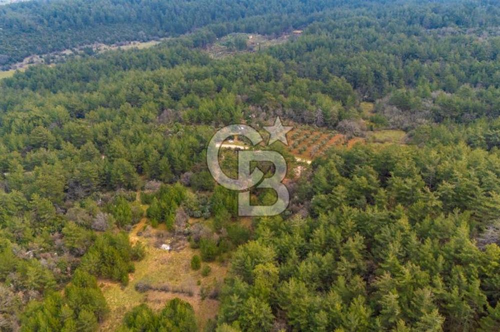 Yenice’de Kadastral Yolu Olan Satılık Tarla