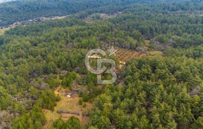 Yenice’de Kadastral Yolu Olan Satılık Tarla