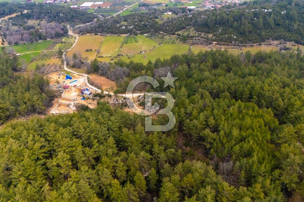 Yenice’de Kadastral Yolu Olan Satılık Tarla