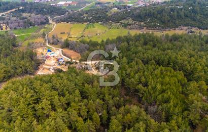 Yenice’de Kadastral Yolu Olan Satılık Tarla