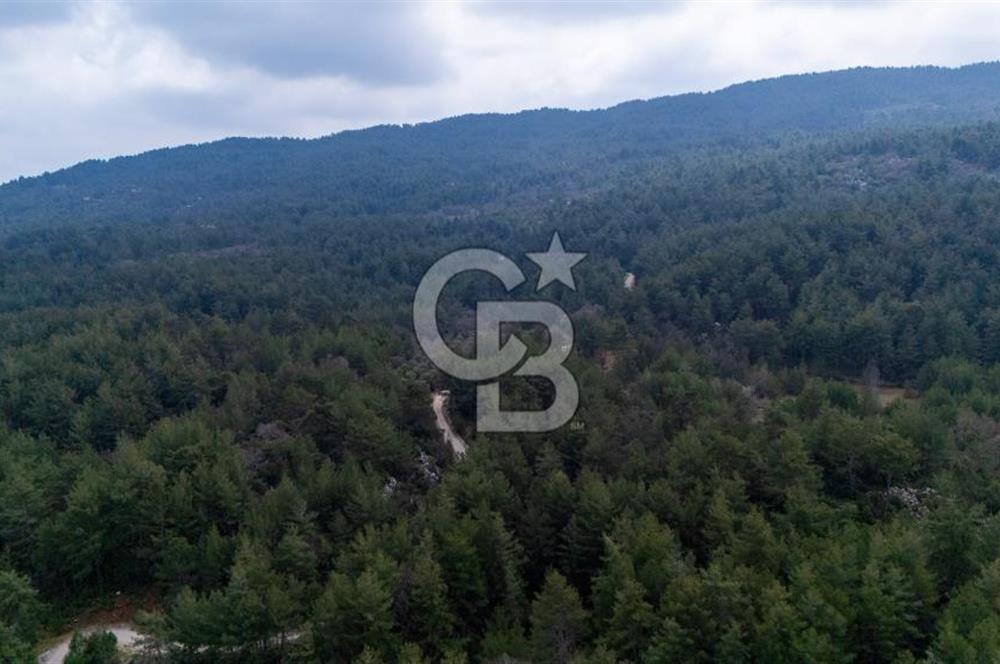 Yenice’de Kadastral Yolu Olan Satılık Tarla