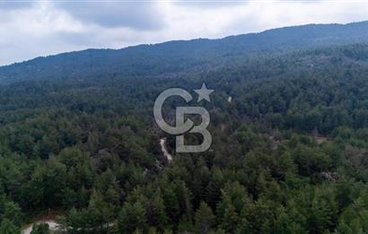 Yenice’de Kadastral Yolu Olan Satılık Tarla