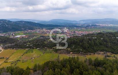 Yenice’de Kadastral Yolu Olan Satılık Tarla