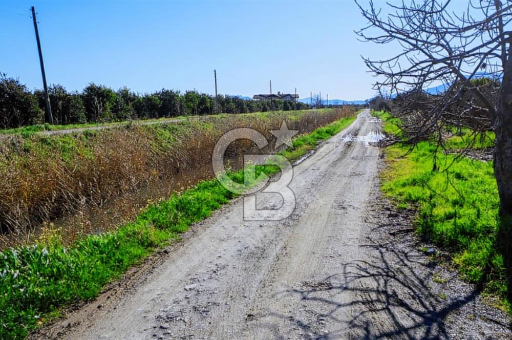 Köyceğiz'de 3.550 m² Satılık Narenciye Bahçesi