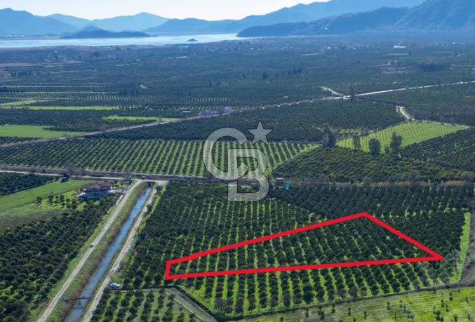 Muğla Köyceğiz Toparlar'da 3.550 m² Satılık Narenciye Bahçesi